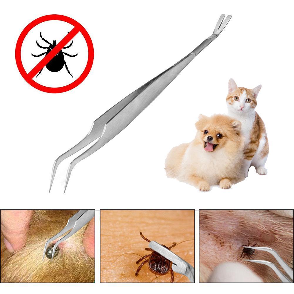 2 In 1 Stainless Steel Pet Flea Treatment Tick Removal Tick Tweezers Professional Quick Tick Removal Tool for Cat Dog People