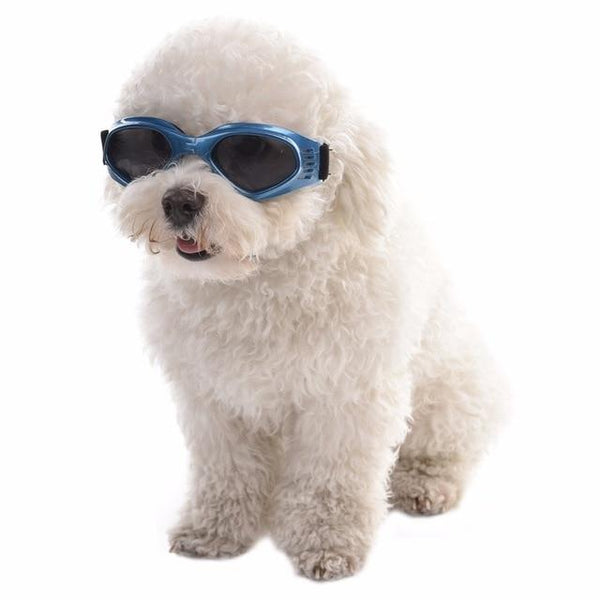 5 Colors Cute Pet Dog Sunglass Sun Glasses Pet Cat Goggles Eye Wear Puppy Eye Protection Pet Grooming Accessories