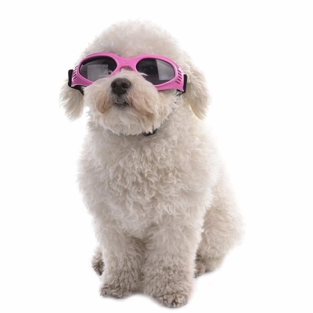 5 Colors Cute Pet Dog Sunglass Sun Glasses Pet Cat Goggles Eye Wear Puppy Eye Protection Pet Grooming Accessories