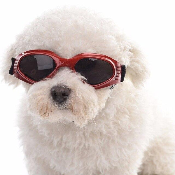 5 Colors Cute Pet Dog Sunglass Sun Glasses Pet Cat Goggles Eye Wear Puppy Eye Protection Pet Grooming Accessories