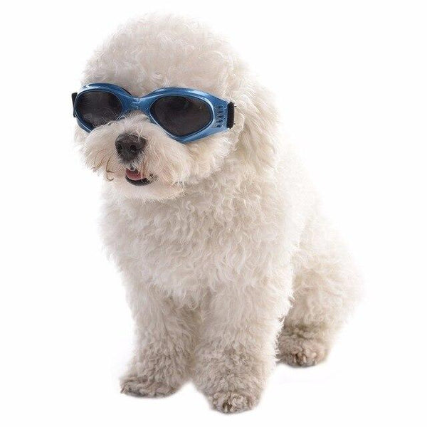 5 Colors Cute Pet Dog Sunglass Sun Glasses Pet Cat Goggles Eye Wear Puppy Eye Protection Pet Grooming Accessories