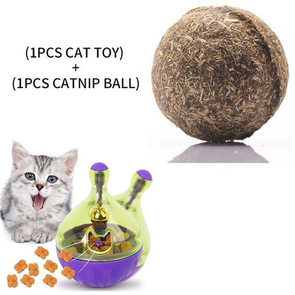 YVYOO Interactive Cat Toy IQ Treat Ball Smarter Pet Toys Food Ball Food Dispenser For Cats Playing Training Pet supplies D10