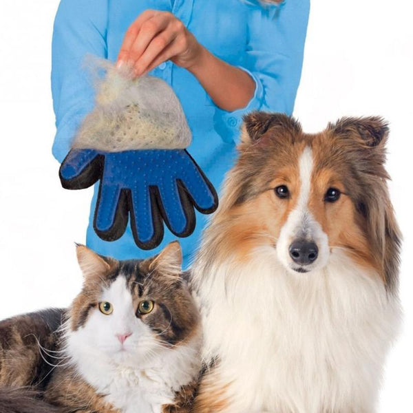 Dog Cat Massage Clean Hair pet Massage Brush Dogs Massages Comb Dog accessories