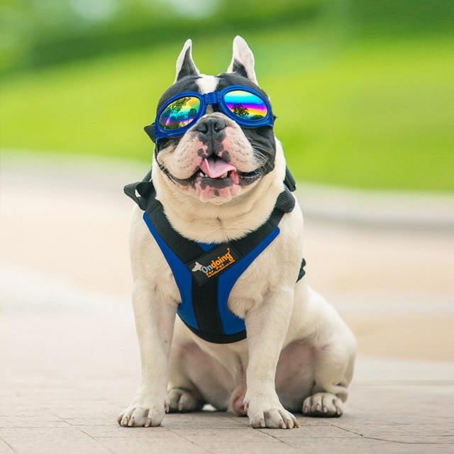 Pet Adjustable Breathable Harness Dog Nylon Vest Breast-band Puppy Halter Chest Strap For Small Medium Dog Traction Supply