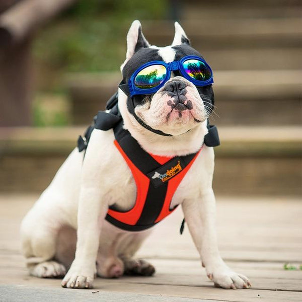 Pet Adjustable Breathable Harness Dog Nylon Vest Breast-band Puppy Halter Chest Strap For Small Medium Dog Traction Supply