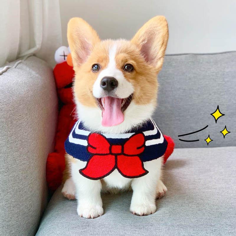 Pet Dog Accessories Dogs Cat Bowtie Cachorro Pug Dog Bandana Pet Supplies Accessories for Dogs Scarf Mascotas Perros Accesorios