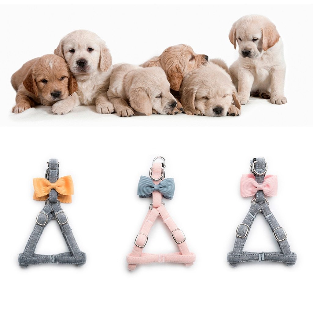 Trsnser Dog Harness Pet Cat Yellow Dogs Cats Tie Bow Vest Set Chest Straps Belt Set Cloth Adjustable Leash Safety 19June20 P30