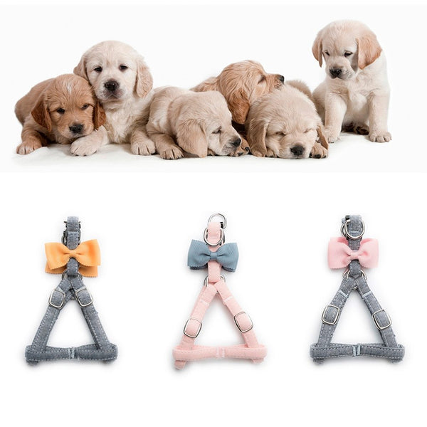 Trsnser Dog Harness Pet Cat Yellow Dogs Cats Tie Bow Vest Set Chest Straps Belt Set Cloth Adjustable Leash Safety 19June20 P30