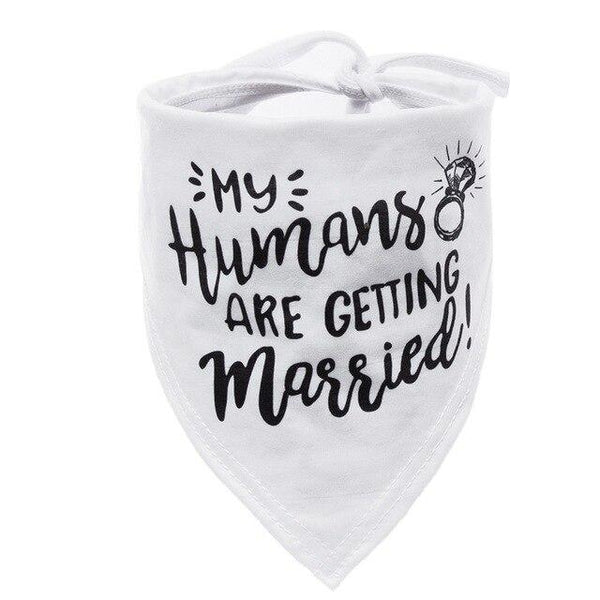 Pet Cute Scarf Dog Cat Birthday Soft Bandana Fashion Dog Puppy Cat Party Birthday Decoration Scarf Dog Accessories
