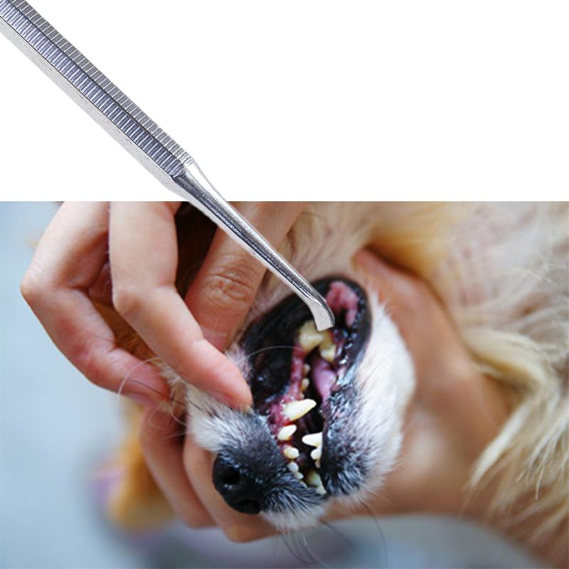 Tartar Calculus Remover Scraper Dog Pet Supply Scaler Tooth Oral Hygiene