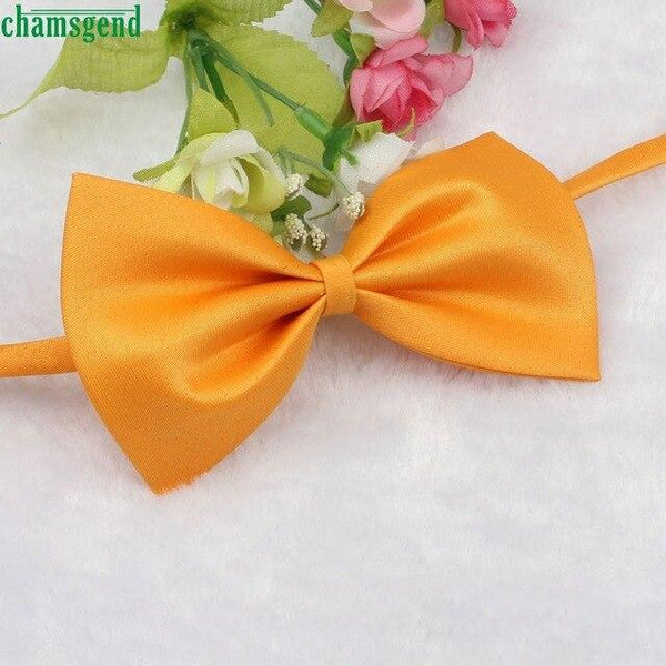 CHAMSGEND Gifts Cute Dog Puppy Cat Kitten Pet Toy Kid Bow Tie Necktie Clothes For Daily Use, Parties And Wedding Pet's Gift