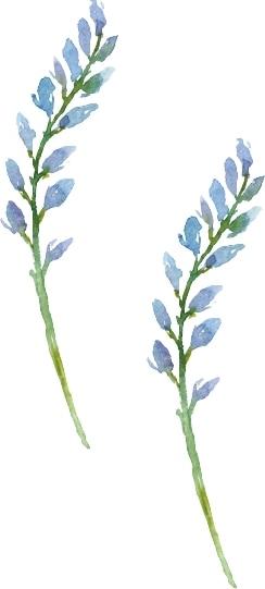 High quality waterproof flower temporary tattoos for women hand tattoo sticker fashion body art arm fake tatoo paper SYA013