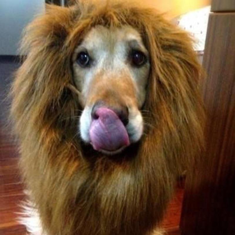 Creative dog Dress Up Pet Costume Halloween Clothes Fancy Lion Mane Wig For Dogs Festival Dress Up Large Dogs Accessories
