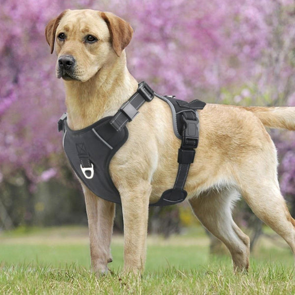Idepet Dog Harness Vest with Handle No-Pull Pet Vest Harness Safety Seat Belt Trip Reflective Breathable Dog Harness for Dogs 35