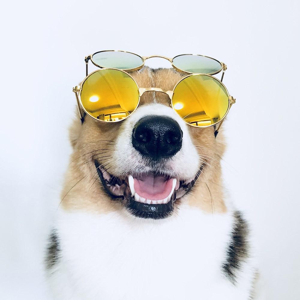 Medium Large Dog Glasses Fashion Eye-wear Sunglasses For Cats Christmas Photos Props Pet Grooming Accessories Supplies Size S/L