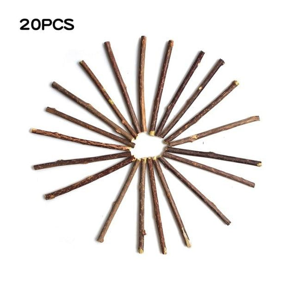 15&20pcs Natural Catnip Pet Cat Molar Toothpaste Stick Matatabi Actinidia Fruit Silvervine Cat Snacks Sticks Pet Cleaning Teeth