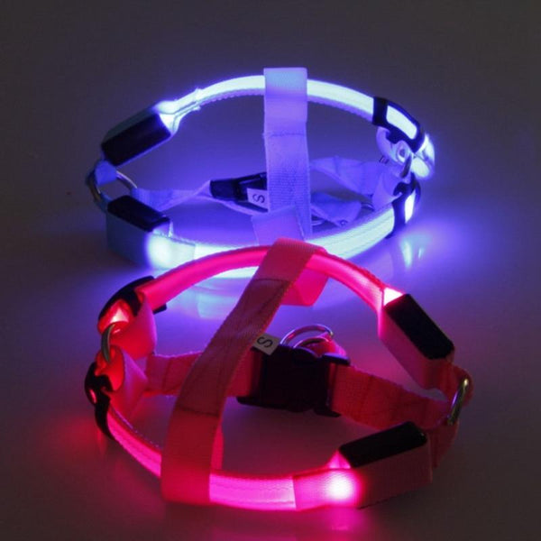 Pet Dog LED Glowing Harnesses Battery Operated Light Chest Strap Puppy Dog Fashion Glow Nylon Harnesses Outdoor Walking Supplies
