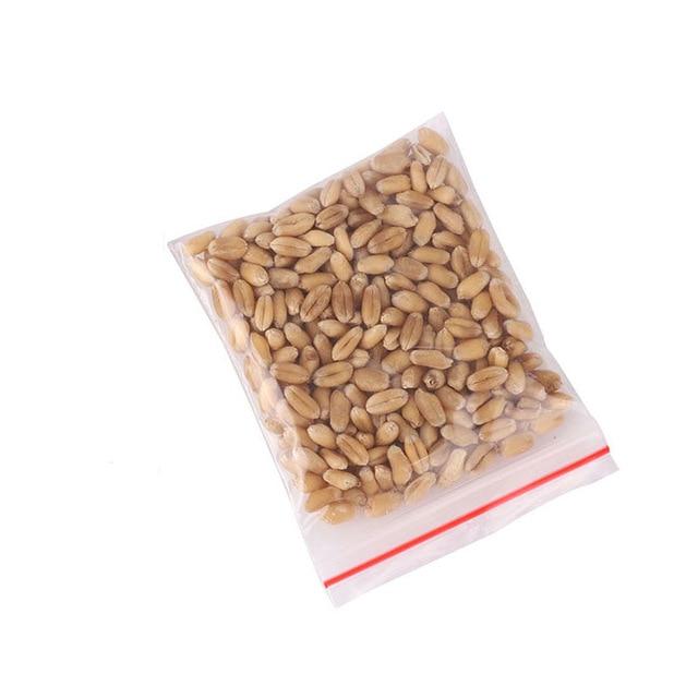 New Cats Catnip Toys Pet Cat Catnip Cat Natural Treats Control And Removal Hairball
