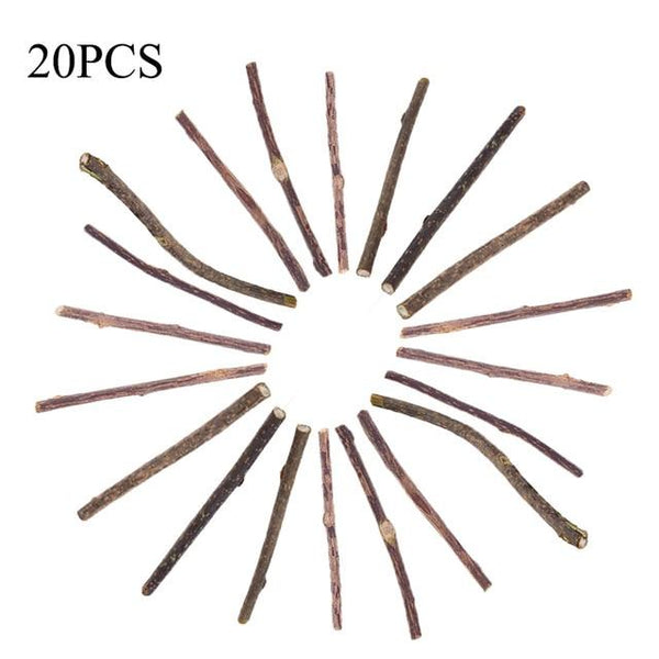 15/20/25/50pcs Pure Natural Catnip Pet Cat Toy Molar Toothpaste Branch Cleaning Teeth Silver Vine Cat Snacks Sticks Pet Supplies