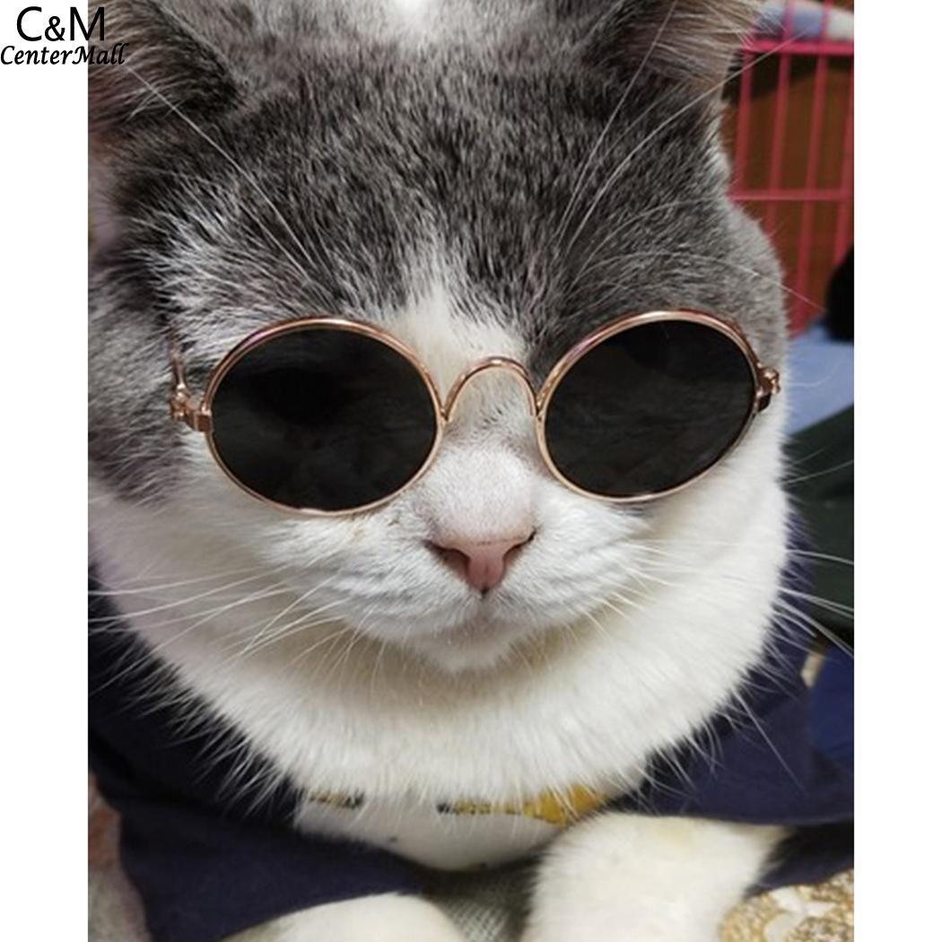 Cool Round Stylish Cat Outdoor Party etc Toy Dog Steel Cat Travel Dog Kitty Cute Sunglasses 3cm 0 1 Pet Stainless 51inch