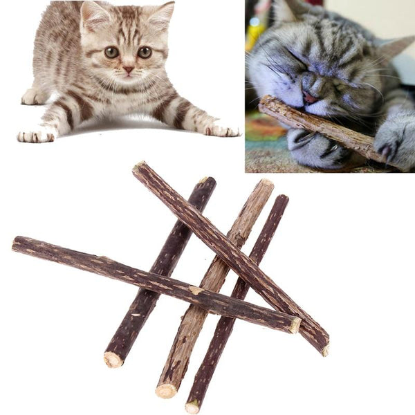 5PCS 12CM Cat Cleaning Teeth Natural Catnip Pet Cat Molar Toothpaste Stick Silvervine Actinidia Fruit Matatabi Cat Snacks Sticks