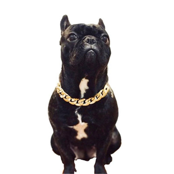 Teddy Bago law fighting dog bully gold chain small and medium dog collar pet necklace jewelry accessories Hot
