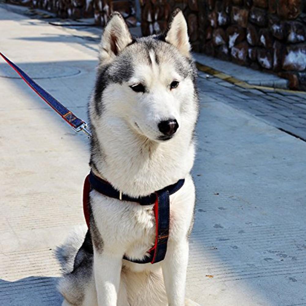 1 Set Nylon Adjustable Pet Puppy Dog Harness Safety Vehicular Lead Dog Leash Pet Walking Hand Strap Breast-band Belt Lead