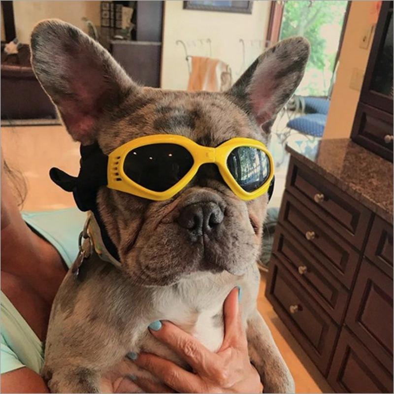 Swimming Glasses Dog Sunglasses UV Protection Windproof Goggles Pet Eye Wear Medium Large Dog Cool Accessaries For Puppy