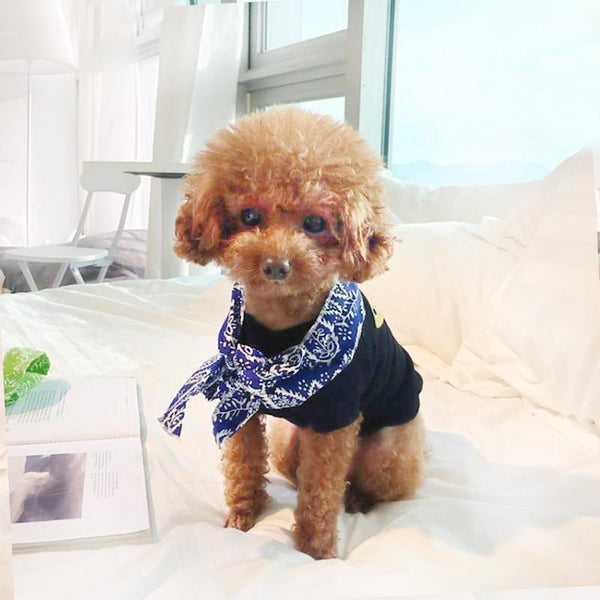 Dog Cat Bandana Summer Ice Towel Pet Scarf Tie Necklace Cooling Neckerchief Dog Accessories Grooming Pet Ice Cold Scarf D23