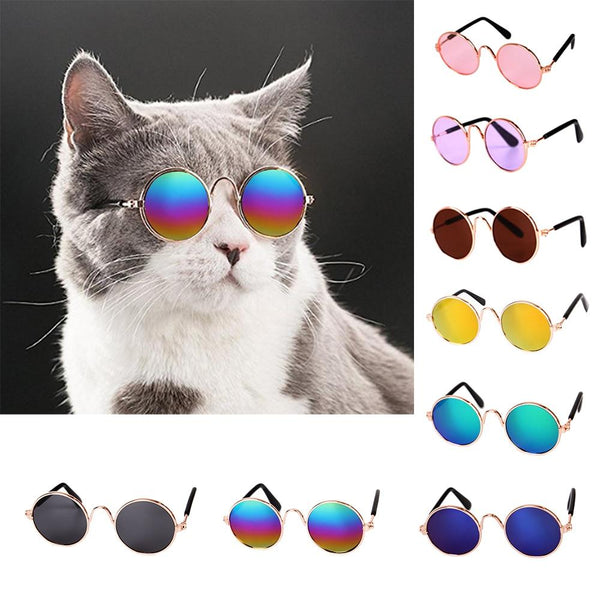 Lovely Glasses Cat Pet Products Eye-wear Sunglasses For Small Dog Cat Pet  Photos Props Accessories Top Selling Pet Products