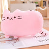 25cm Cute Plush Cat Toys Soft Pillow Stuffed Animal Cat Cushion Plush Cat with Kitten Doll Kids Baby Birthday Gift Pusheen Toys