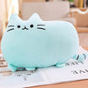 25cm Cute Plush Cat Toys Soft Pillow Stuffed Animal Cat Cushion Plush Cat with Kitten Doll Kids Baby Birthday Gift Pusheen Toys