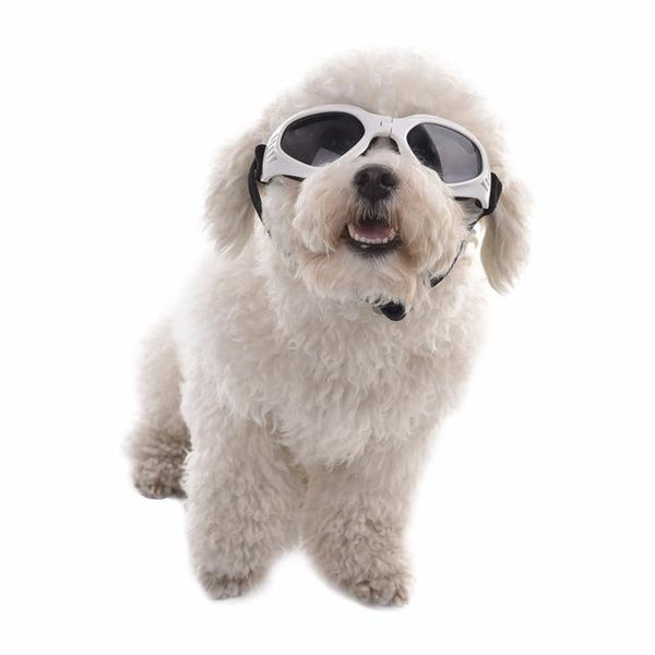 5 Colors Cute Pet Dog Sunglass  Sun Glasses Pet Cat Goggles Eye Wear Puppy Eye Protection  Pet Grooming Accessories