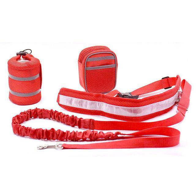 Pet Sports Kit Cat Dog Hands Free Nylon Elastic Dog Leash Lead Strap Rope Waist Belt For Walking Running Accesories Kits