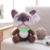 20cm Cute Soft 3D Simulation Stuffed Cat Toys Double-side Seat Sofa Pillow Cushion Kawaii Plush Animal Cat Dolls Toys Gifts