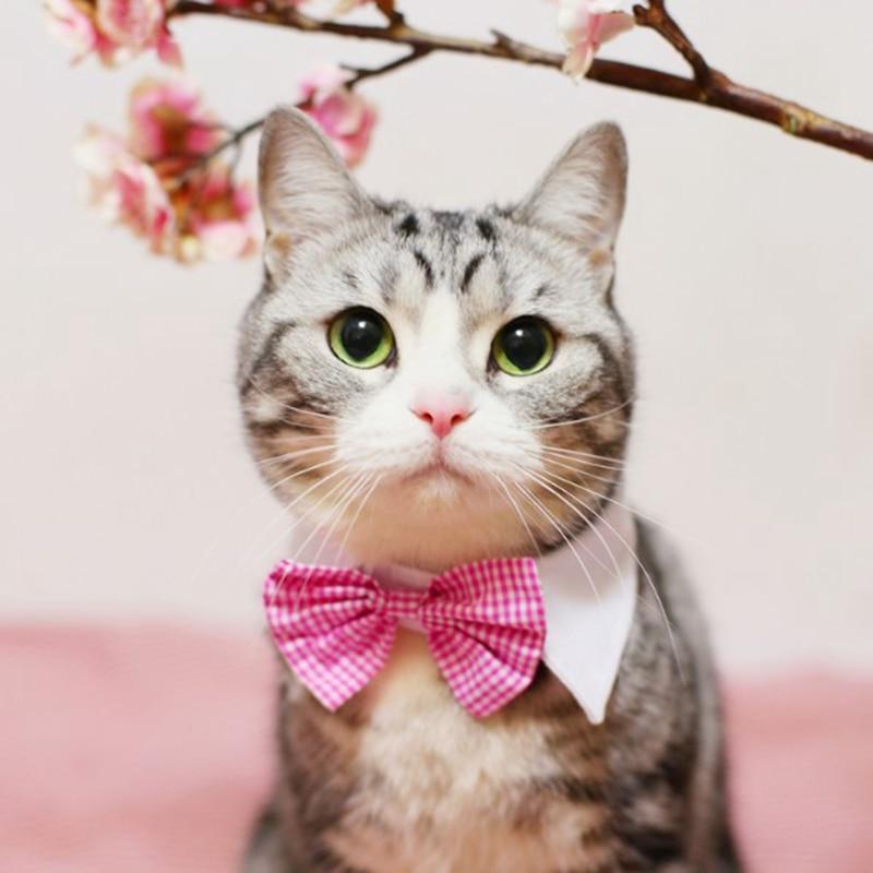[MPK Cat Bow Ties] Pet Bow Ties in Various Designs, Cats and Dogs Collar Pet Bow Tie