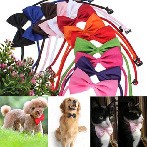 Collars Cute Solid Color Adjustable Cat Bowtie Pet Dog Collar Bowknot Necktie Bow Dog collar accessories Pet Supplyï¼