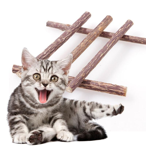 5/10/15/20pcs Pure Natural Catnip Pet Cat Toy Molar Toothpaste Branch Cleaning Teeth Silvervine Cat Snacks Sticks Pet Supplies