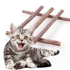 5/10/15/20pcs Pure Natural Catnip Pet Cat Toy Molar Toothpaste Branch Cleaning Teeth Silvervine Cat Snacks Sticks Pet Supplies