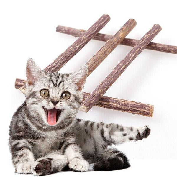 5/10/15/20pcs Pure Natural Catnip Pet Cat Toy Molar Toothpaste Branch Cleaning Teeth Silvervine Cat Snacks Sticks Pet Supplies