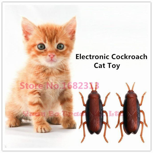 2019 Brand New Cat Toy Electronic Cockroach Cat Toy Fun Cat Toy With Battery Free Shipping