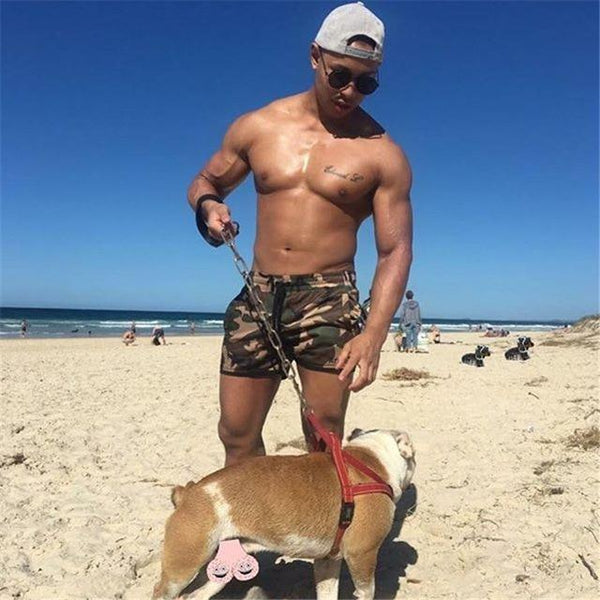 2019 Mens Briefs Sexy Swimsuit Swimwear Men Maillot De Bain Quick Dry Sports Swimming Shorts Beach Men Swim Trunks Beachwear