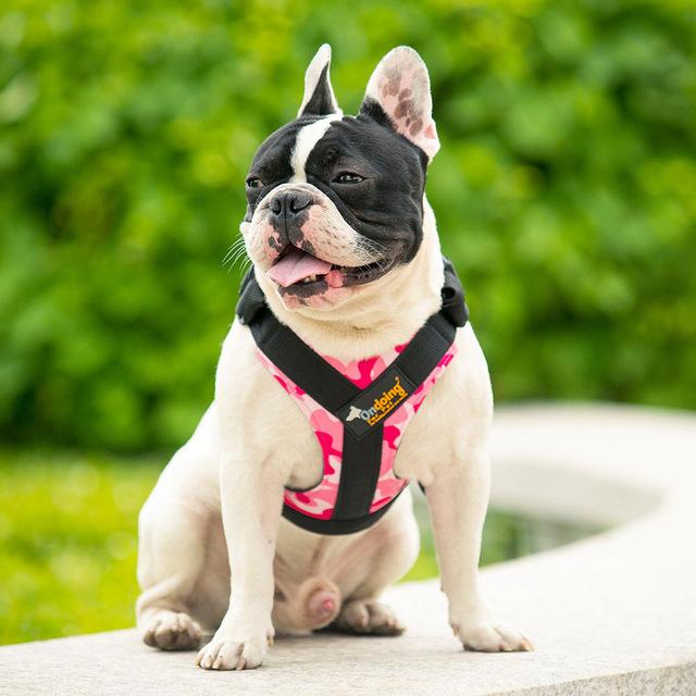 Pet Adjustable Breathable Harness Dog Nylon Vest Breast-band Puppy Halter Chest Strap For Small Medium Dog Traction Supply