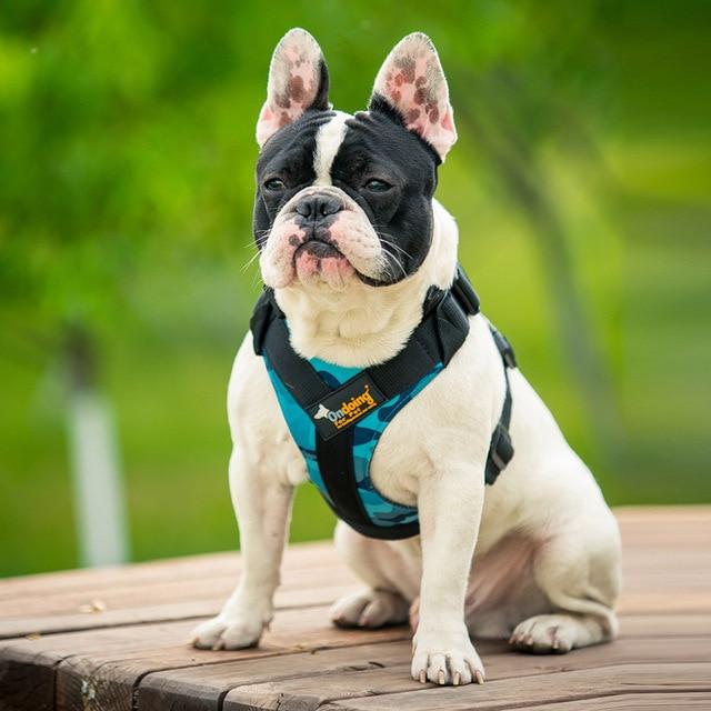 Pet Adjustable Breathable Harness Dog Nylon Vest Breast-band Puppy Halter Chest Strap For Small Medium Dog Traction Supply
