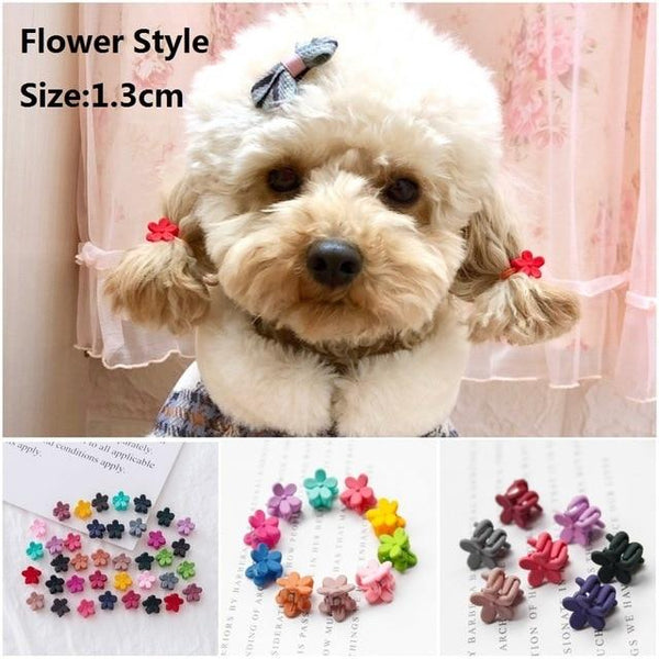 10pcs/20pcs Small Dog Cat Hairpin Mini 2cm Pet Grooming Headdress Dog Hair Clips for Dogs Teddy Yorkshire Maltese dog