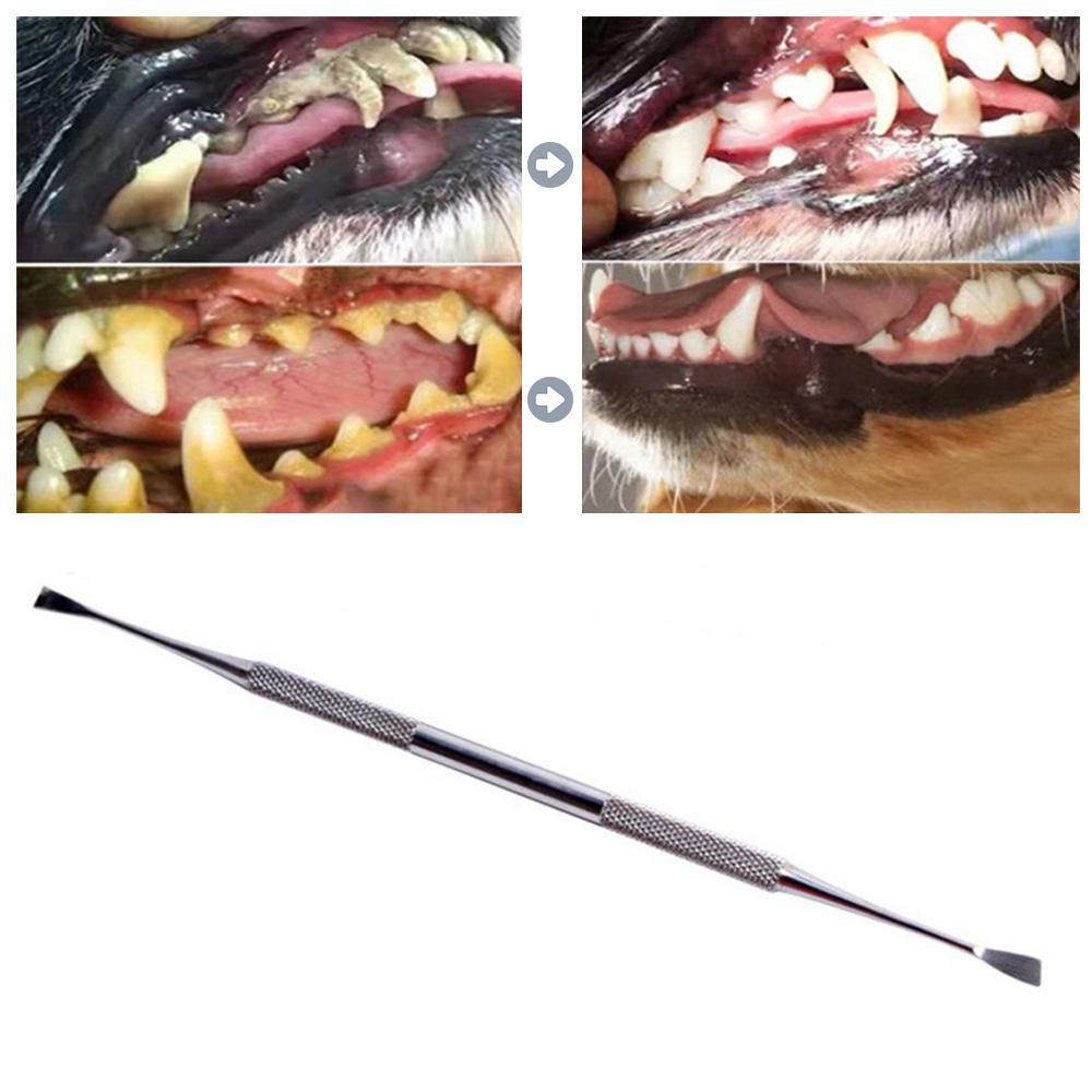 Pet Dog Double Head Tartar Calculus Remover Scraper Dental Scaler Tooth Oral Hygiene Health Care Tools