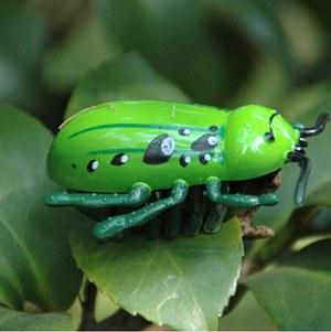 [MPK Cat Toys] Battle Bugs in 4 Designs, Mini Toys For Cats, Ladybug Ladybird, Hornet, Electronic Beetle