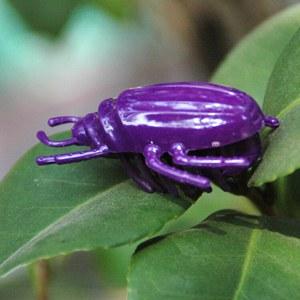 [MPK Cat Toys] Battle Bugs in 4 Designs, Mini Toys For Cats, Ladybug Ladybird, Hornet, Electronic Beetle