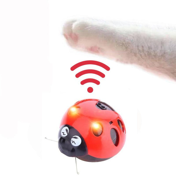 [MPK Store] Catch Me If You Can Super Fun Cat Toy, AAA Battery-Operated Pet Toy, Watch Our Video To Know More