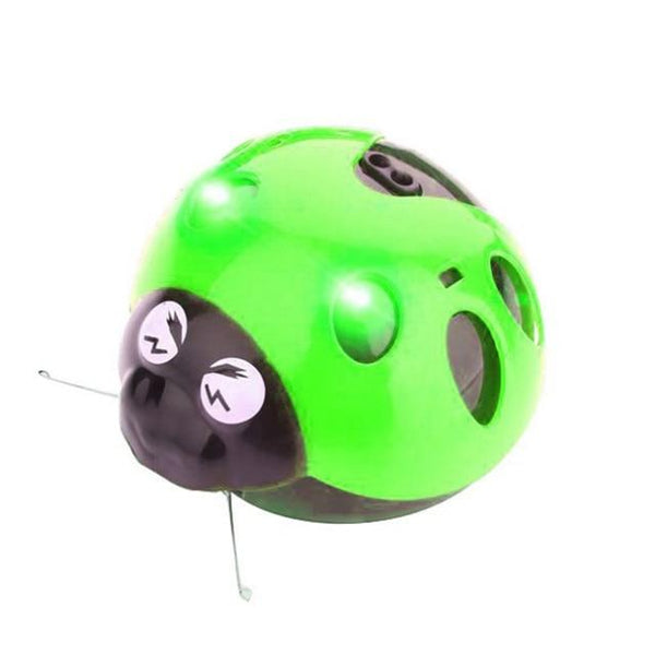 [MPK Store] Catch Me If You Can Super Fun Cat Toy, AAA Battery-Operated Pet Toy, Watch Our Video To Know More